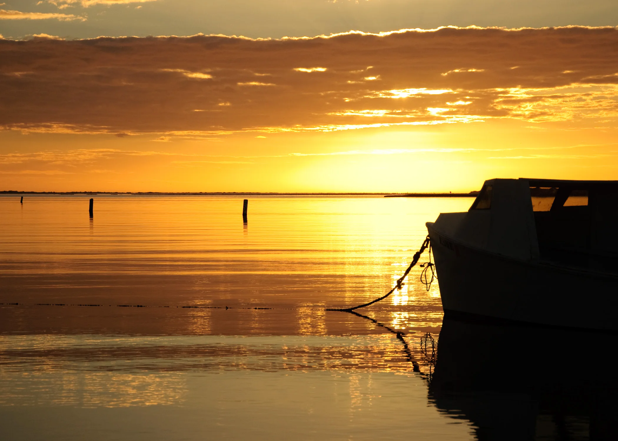 DSC_6825a.jpg