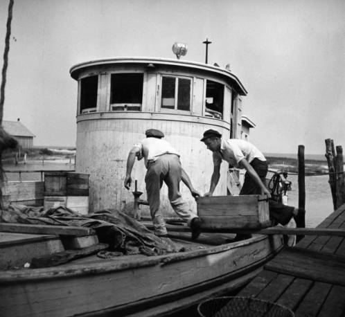 Loading Boat with Fish, Cape Hatteras, 1945