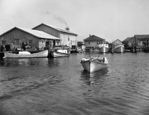 Ice Plant & Fish Dock, Cape Hatteras, 1945