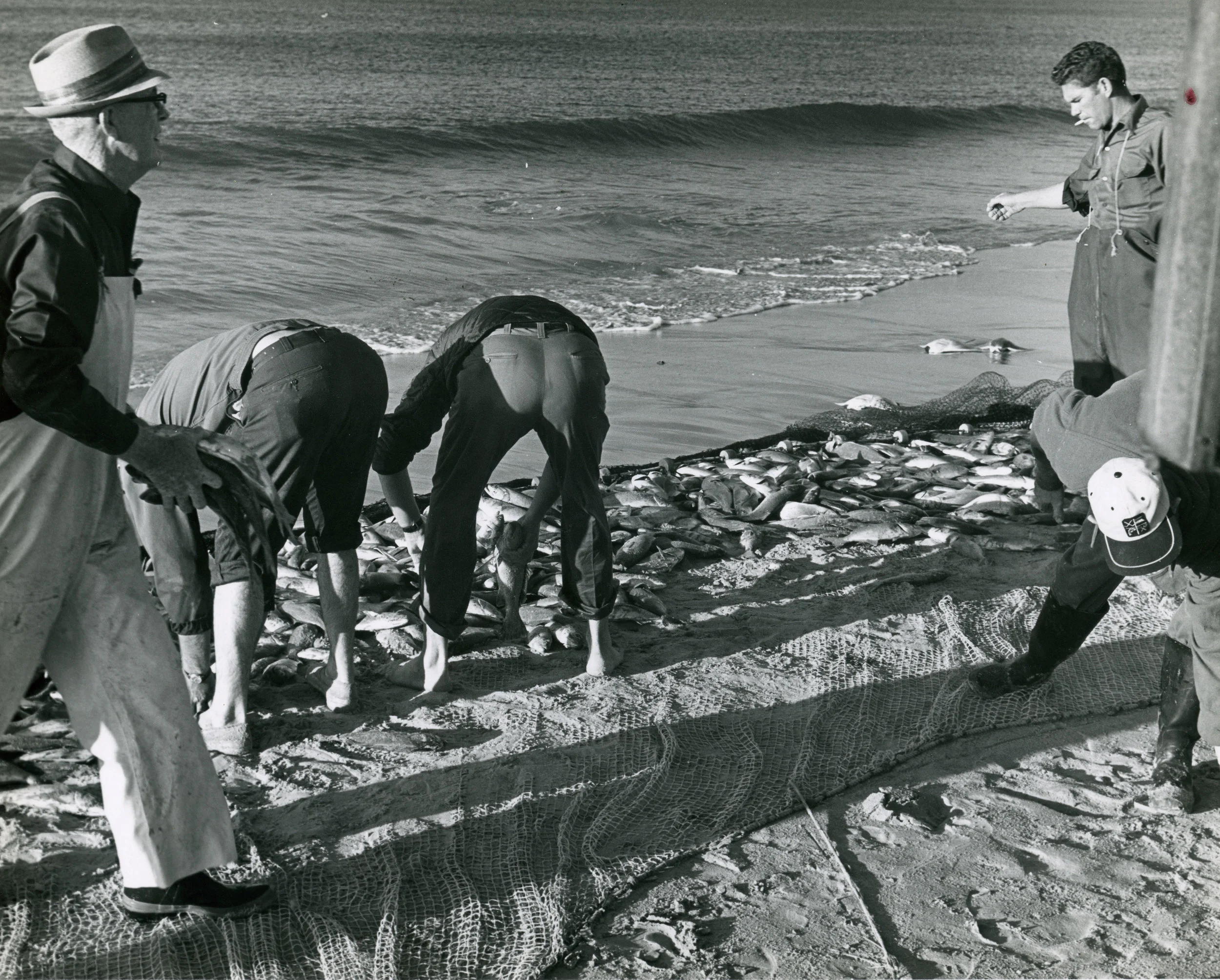 Salter Path beach seine mullet fishermen, 1940s
