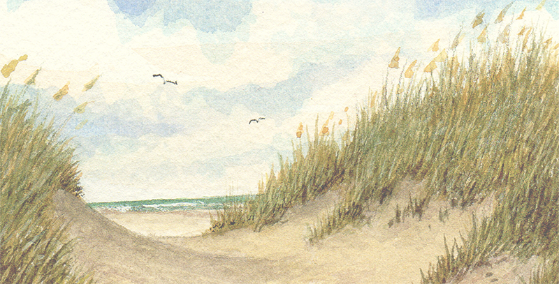 dunescape 2 with border_sm.png