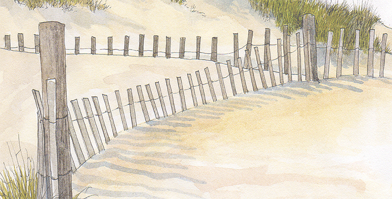 Lookout-Recovered_smbottom.png