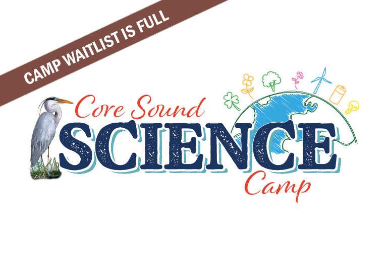 Summer Science Camp