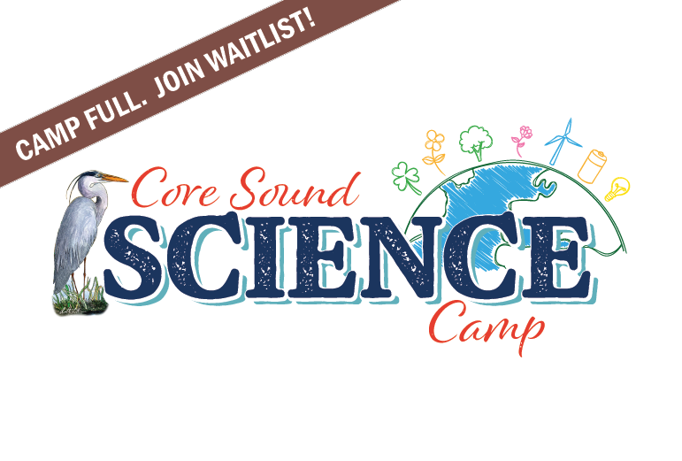Summer Science Camp