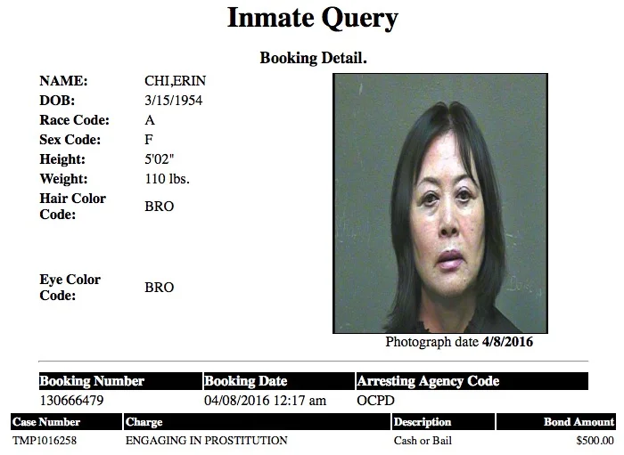 Chi Erin Mugshot Prostitute 2016-04-08.jpg