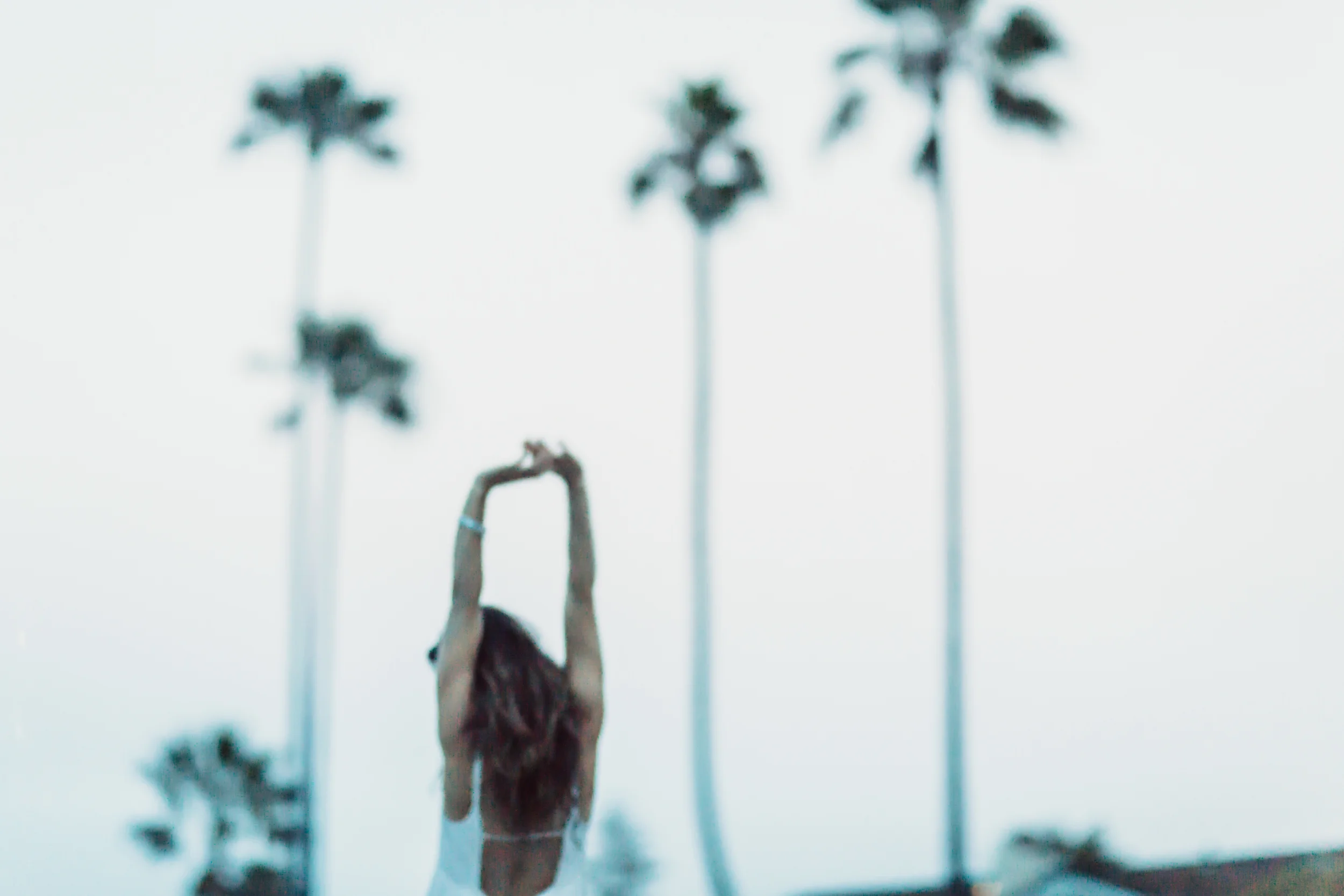 lajolla (1 of 1)-5.jpg