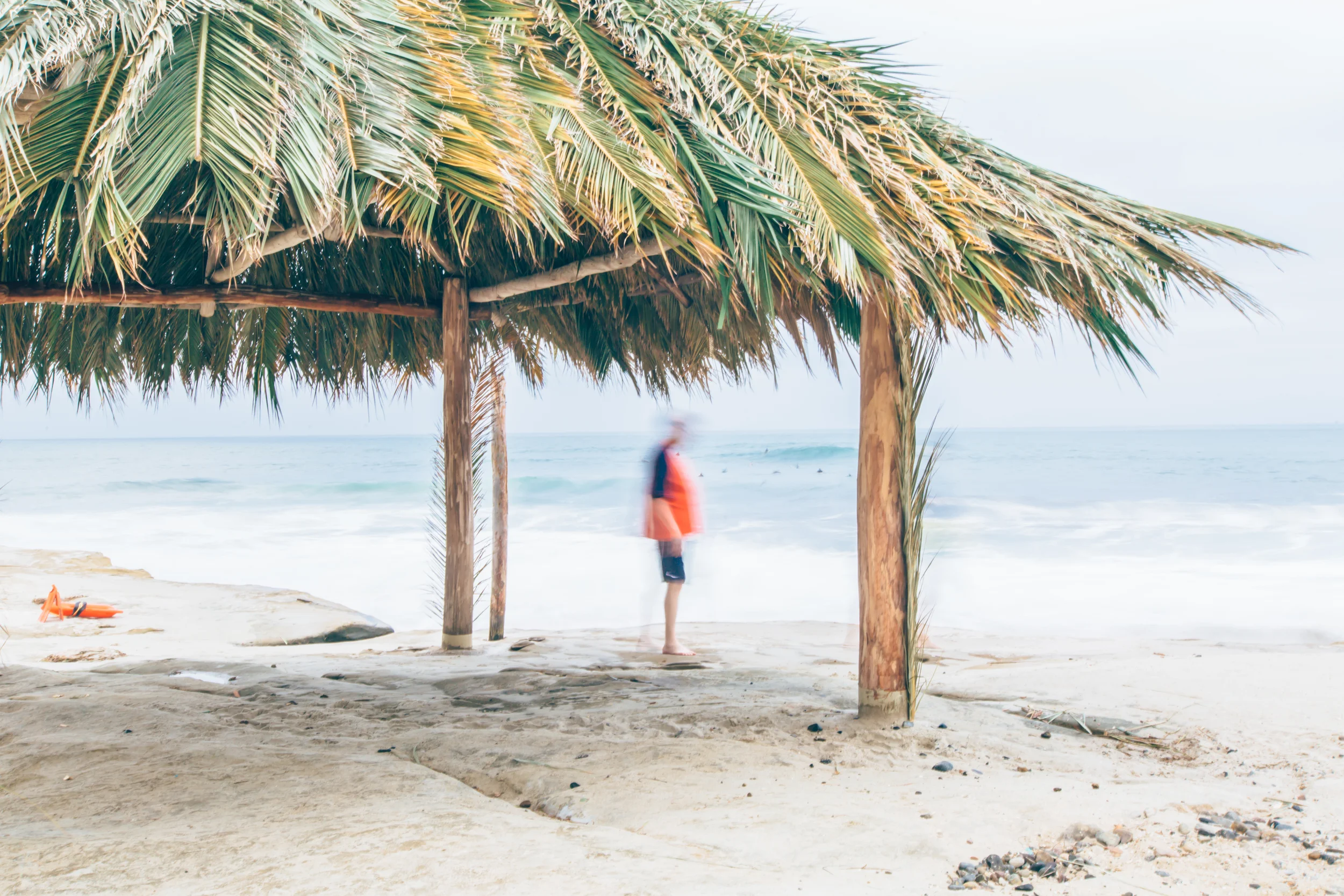 leetalphoto.2016 (1 of 1).jpg