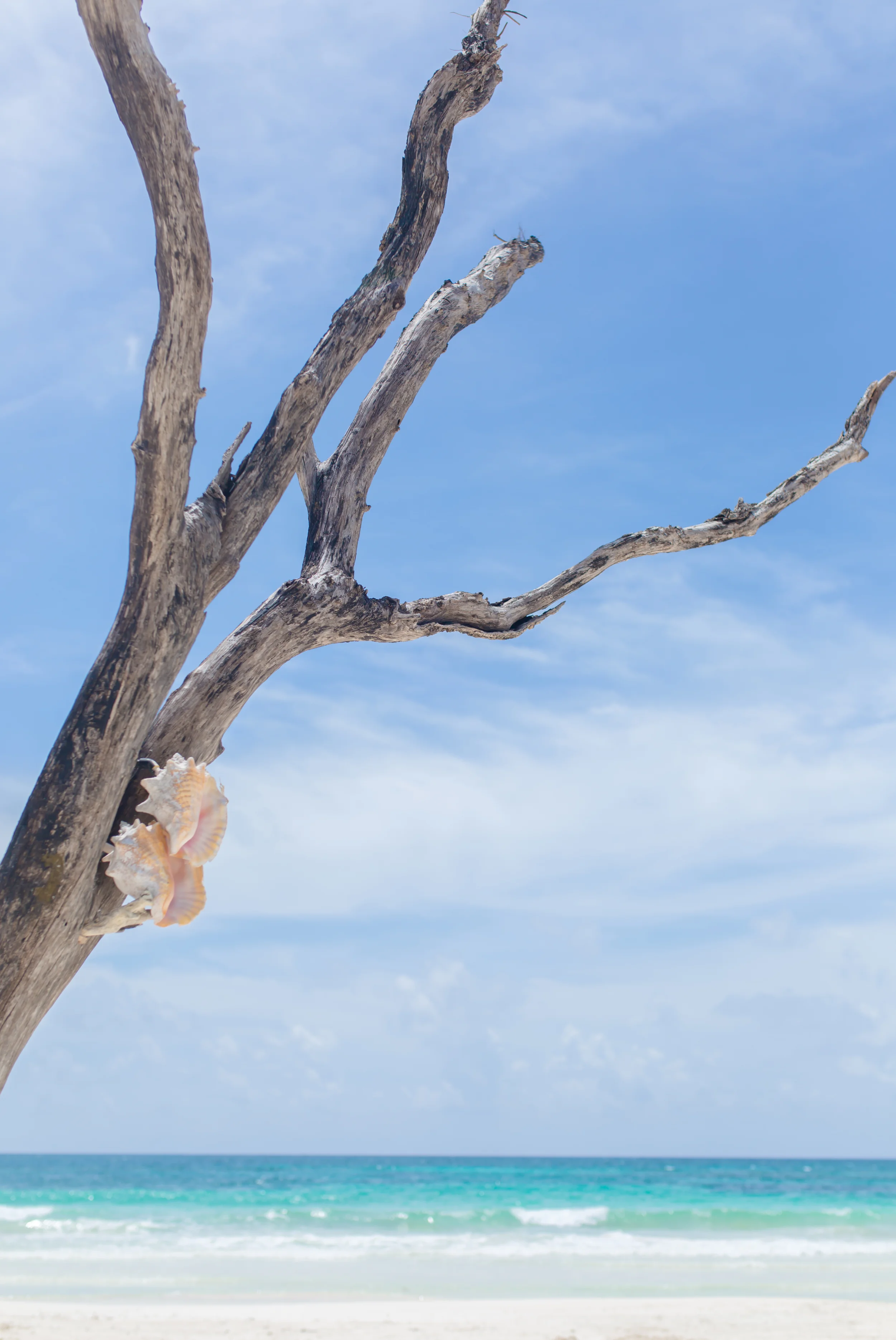 DAy 1 re (35 of 52).jpg