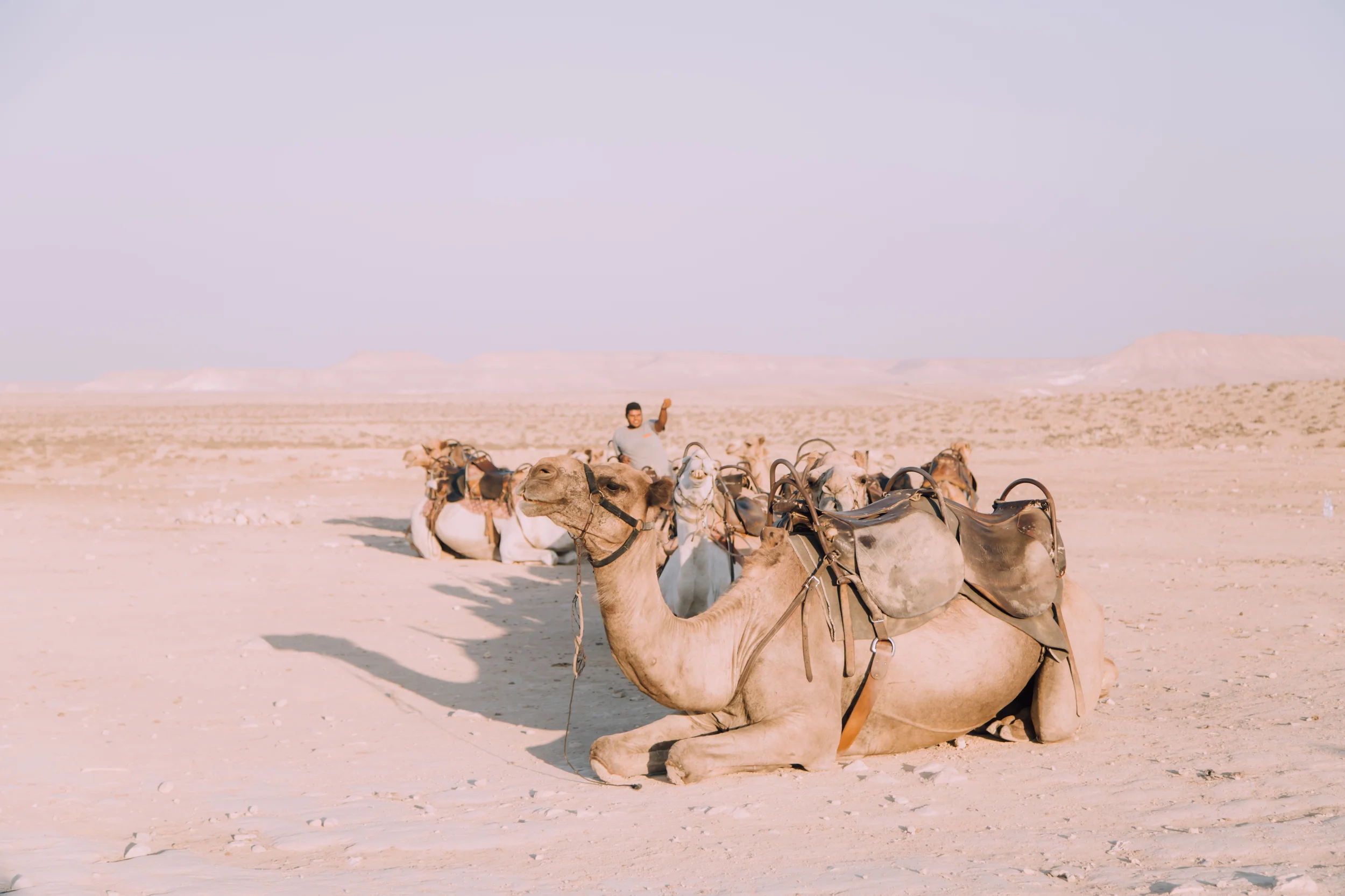 2016 summer birthright backup (1 of 1)-9.jpg