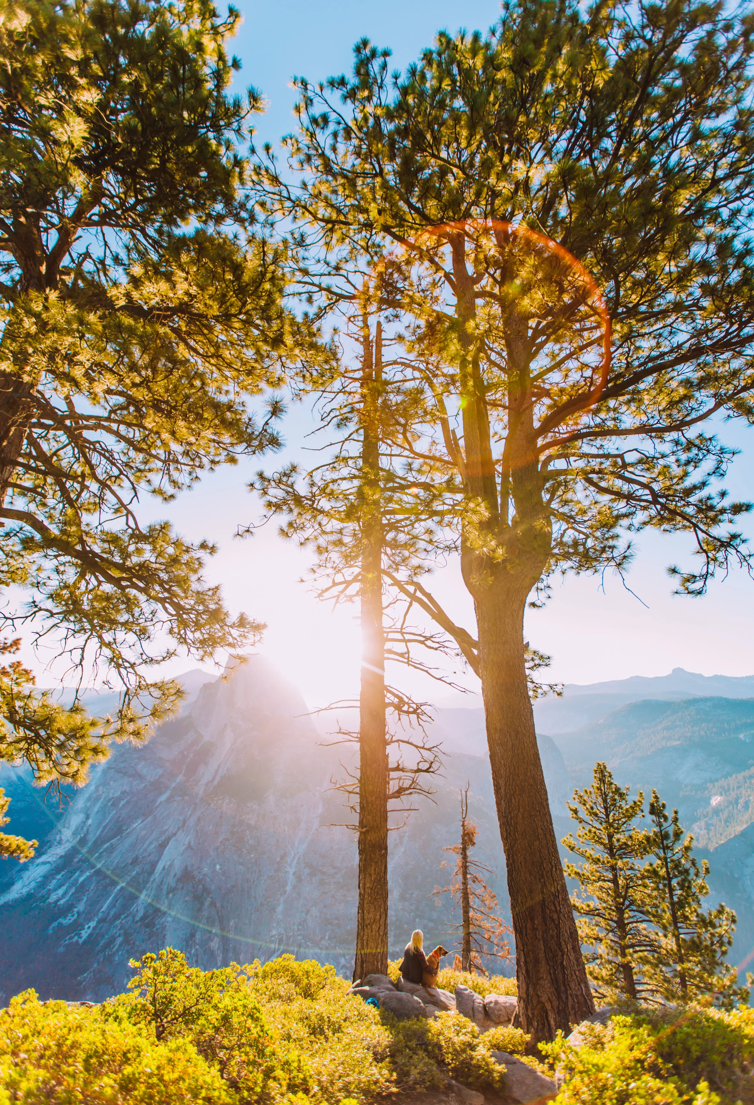 yosemalex (67 of 114).jpg