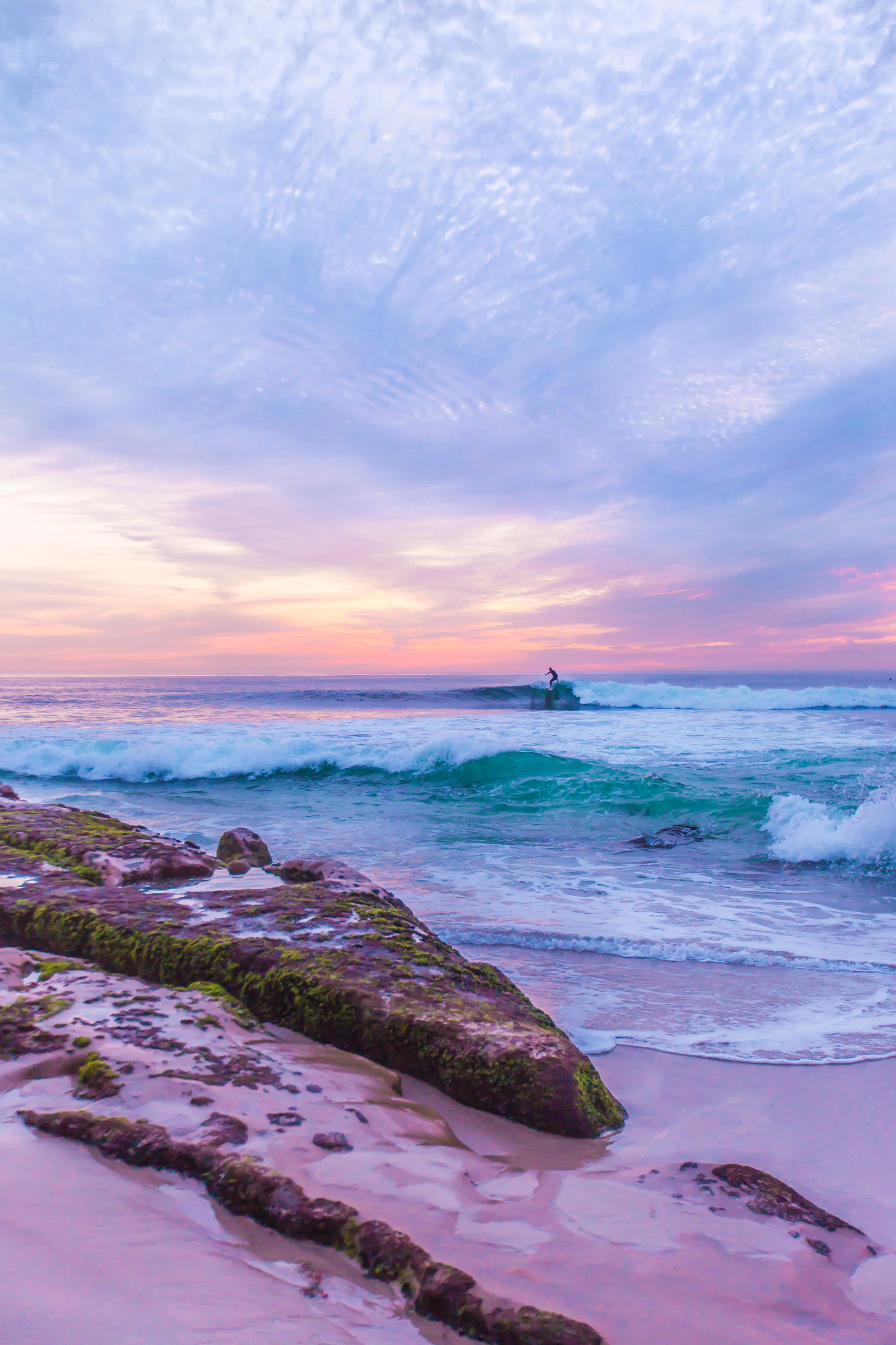 LEETALPHOTO.2WA (1 of 1)-2.jpg