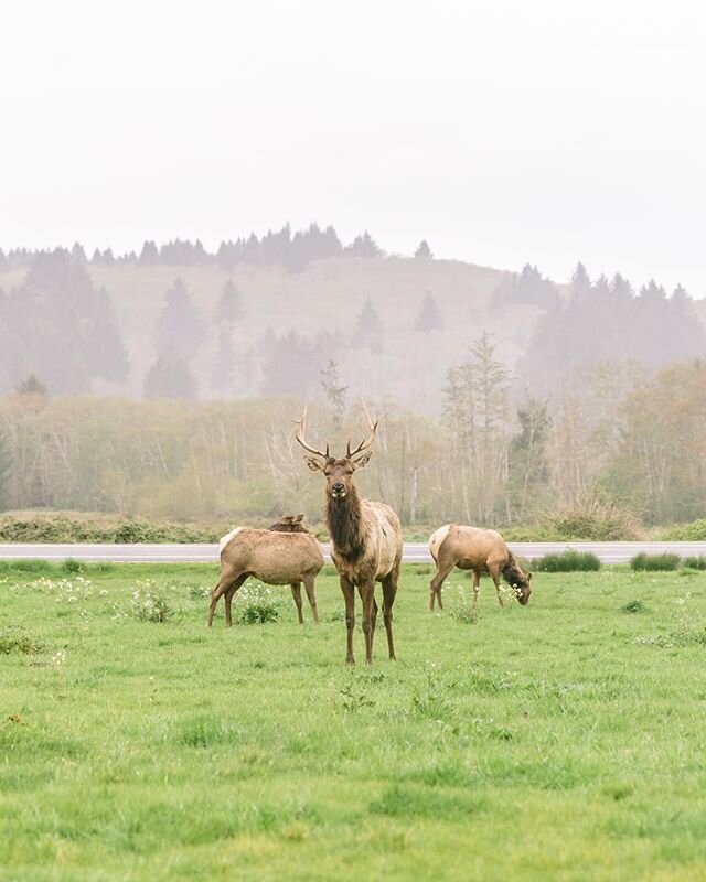 Take in all the fresh air, and soak in that gratitude; even if it&rsquo;s just from your porch 🌲