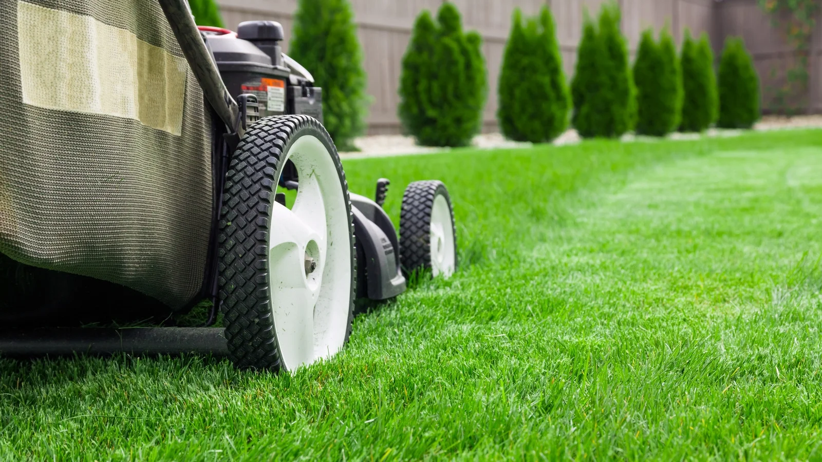 canstockphoto27755889.jpg