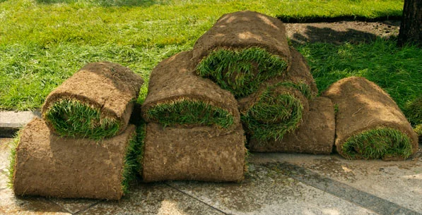 image_installation1.jpg