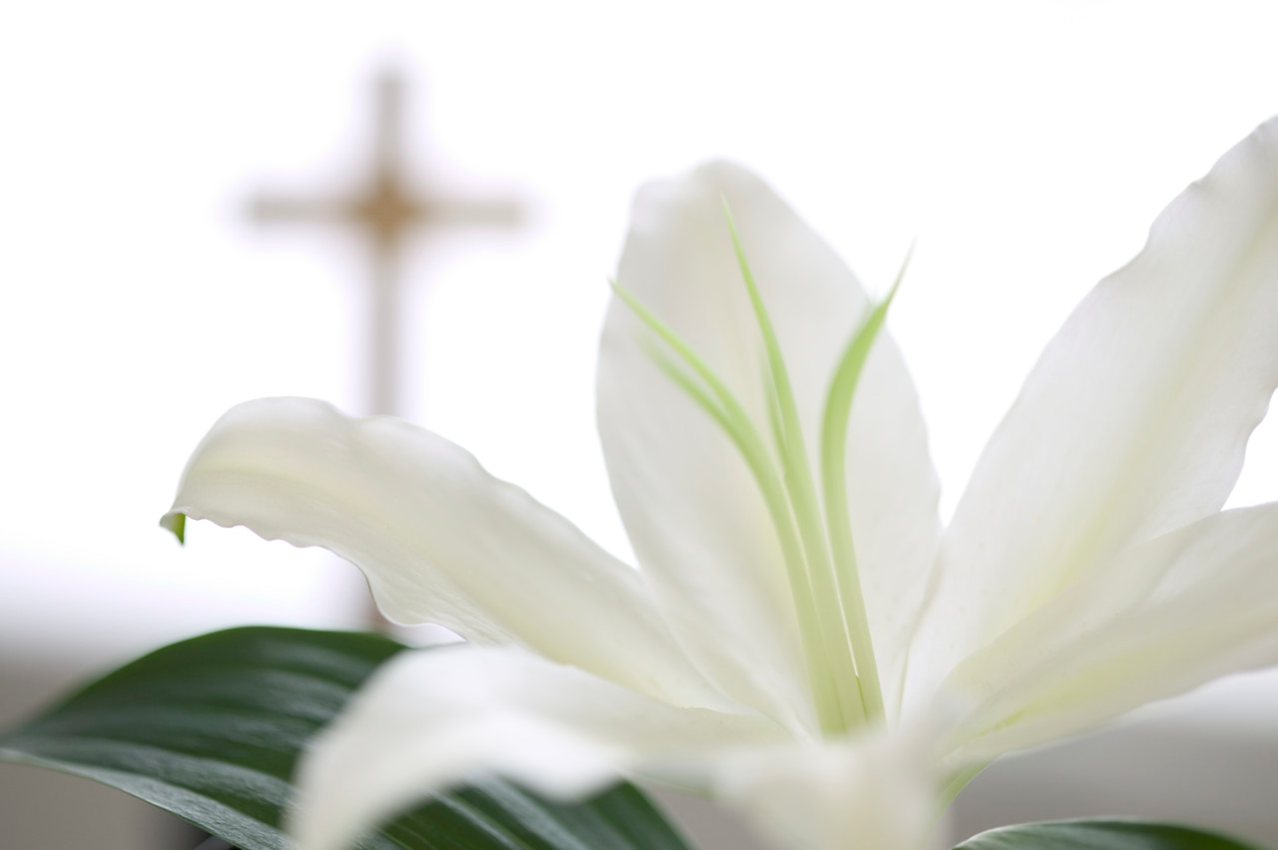 easter-lily-with-cross.png