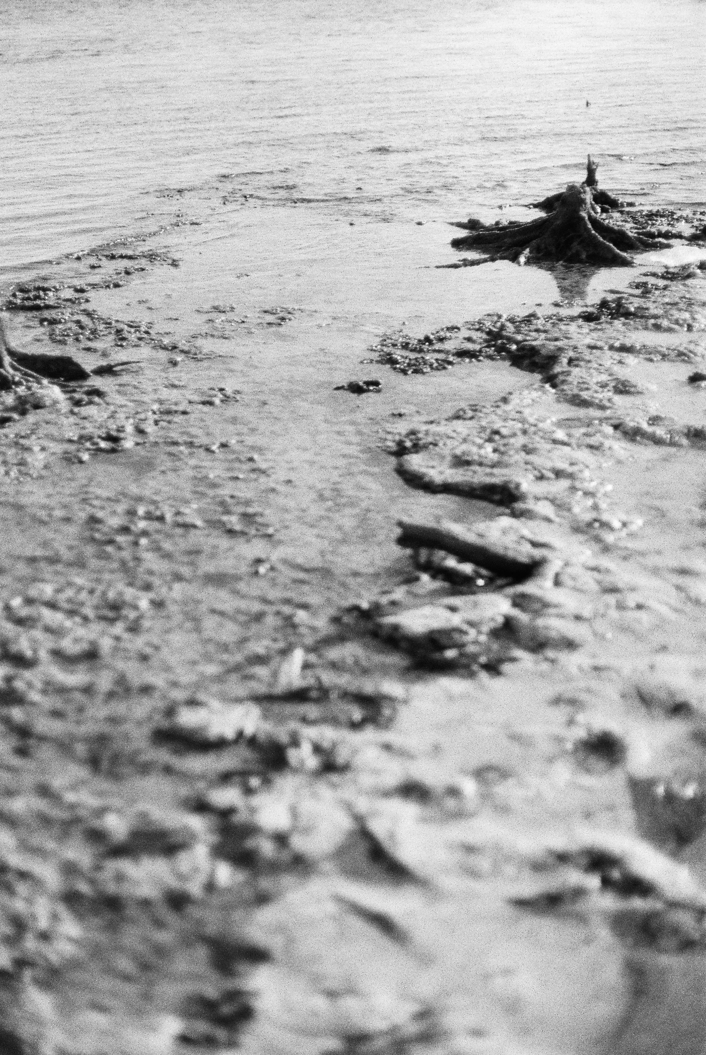 0815_24.jpg