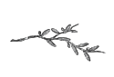 finalfiles-png-01.png