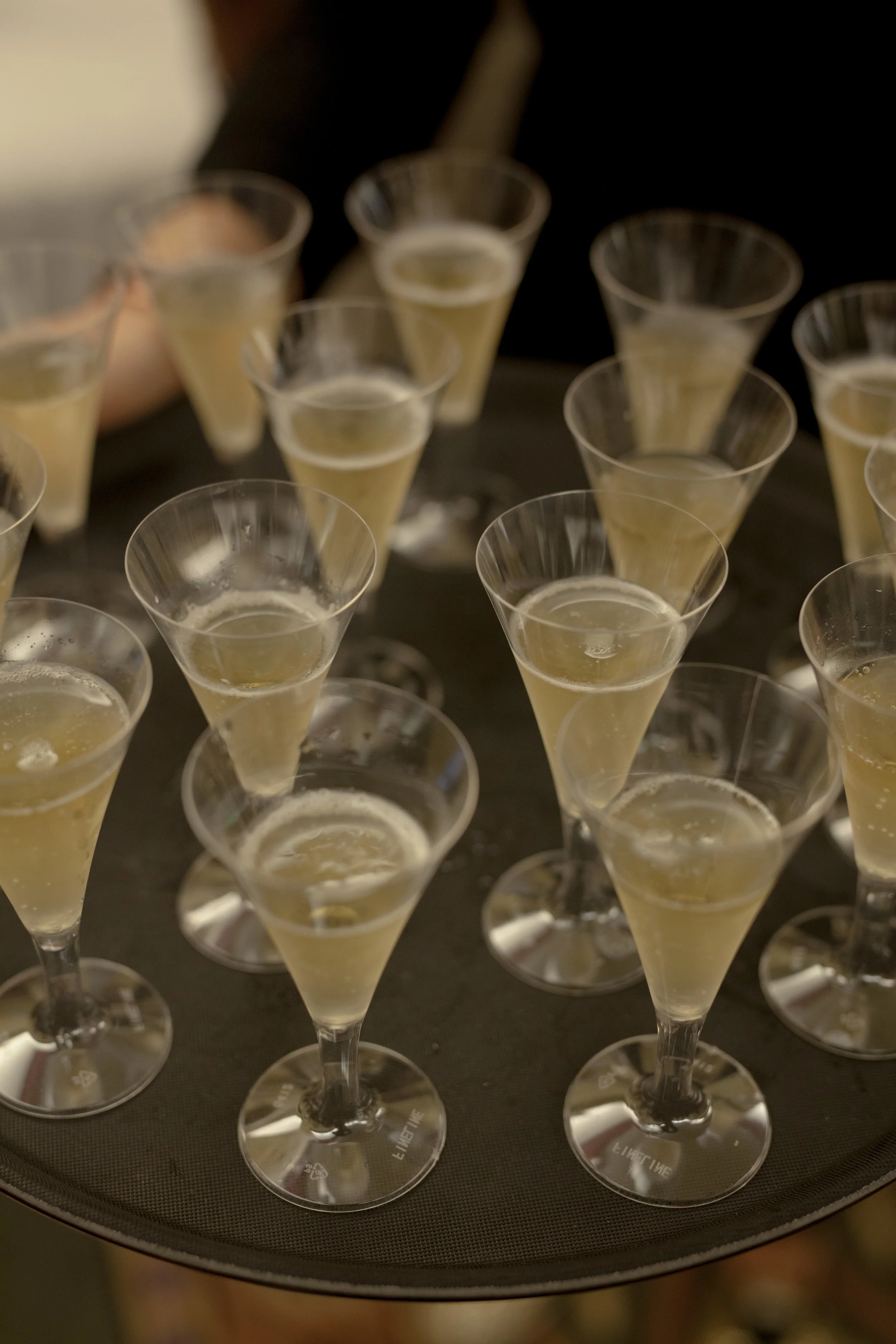 Reception 165.jpg