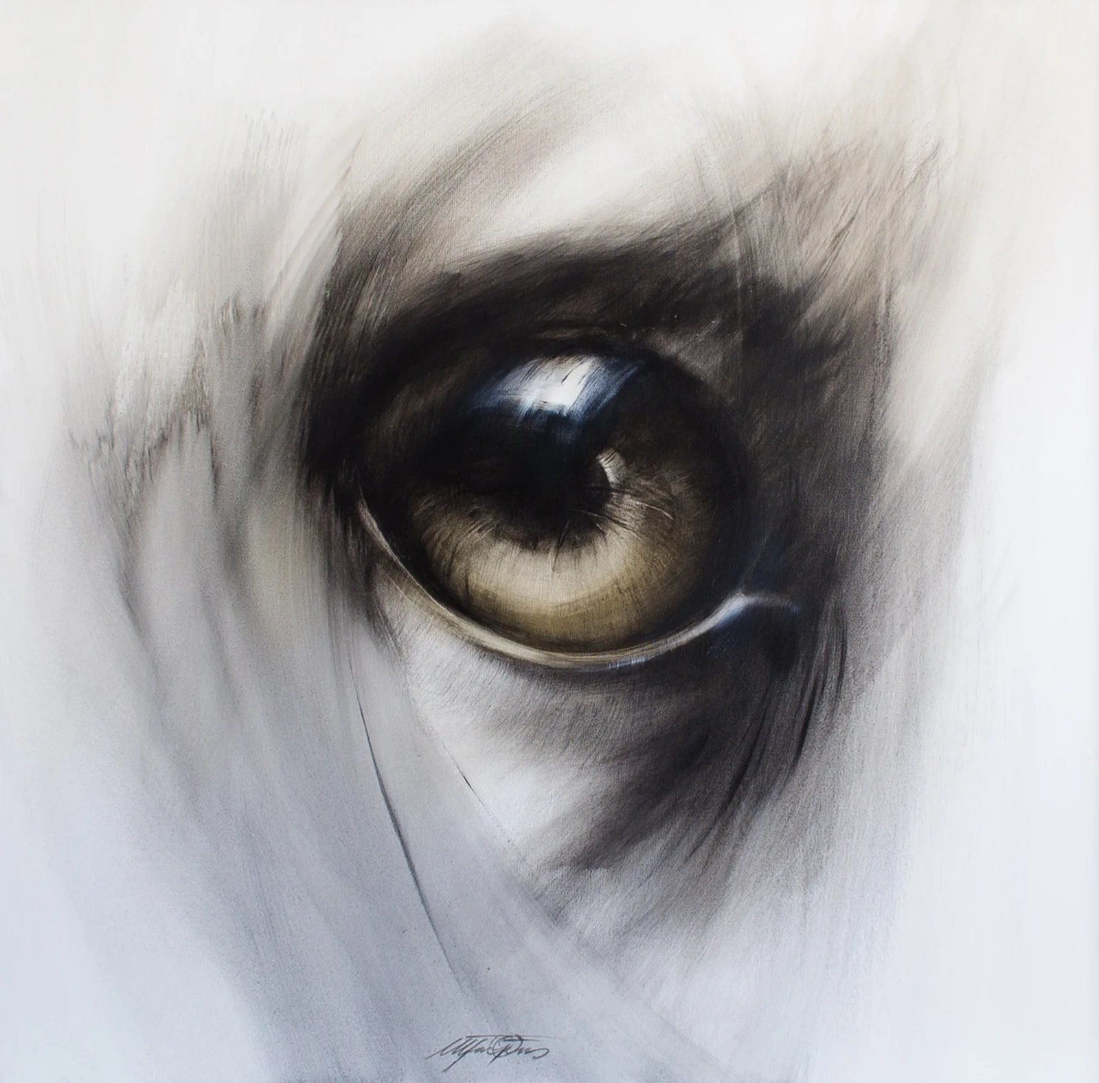 Athygli - 100x100 cm.