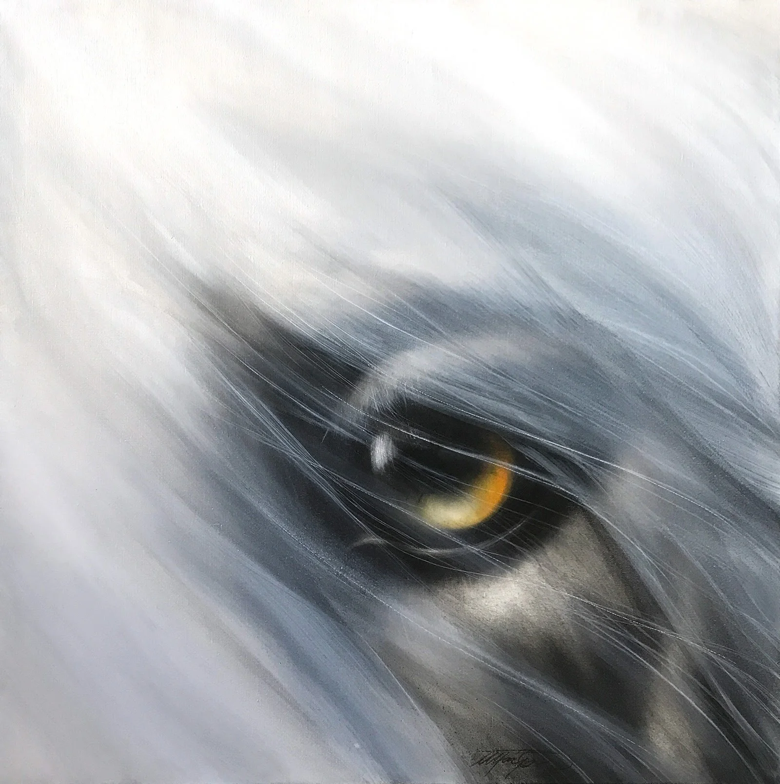 ÞOKA - SOLD / oil on canvas / olía á striga 95x95 cm.