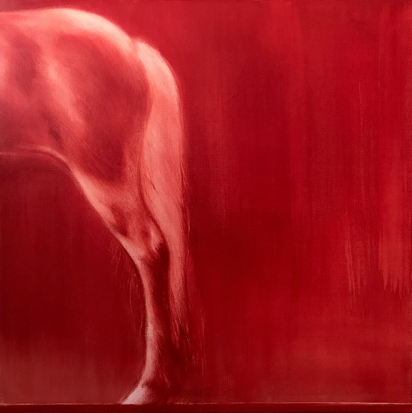 STILLUR RAUÐ / oil on canvas / olía á striga 95x95 cm.