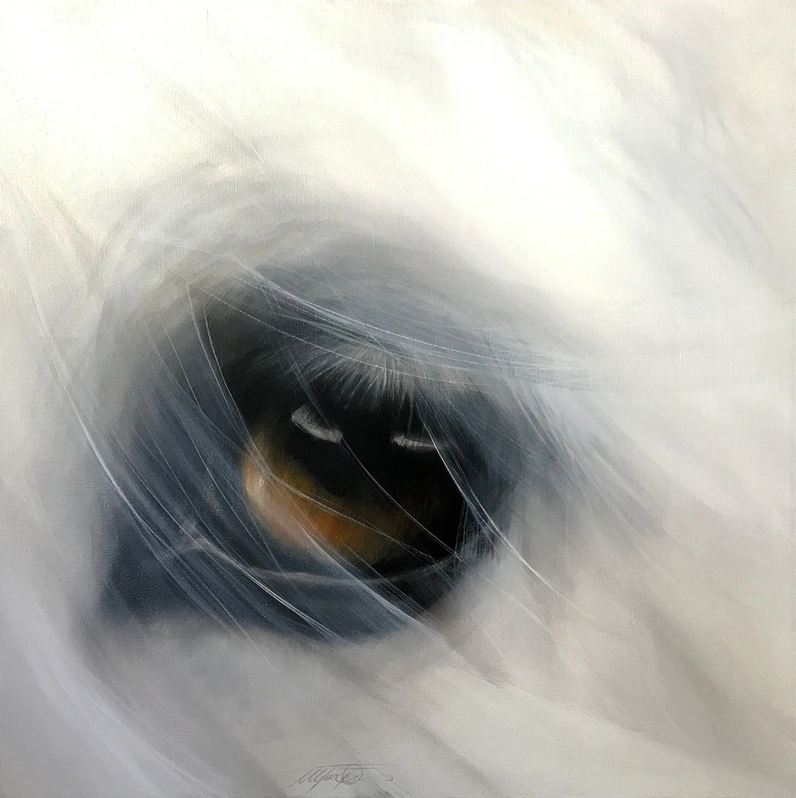 LÝSA - SOLD/ oil on canvas / olía á striga 95x95 cm.