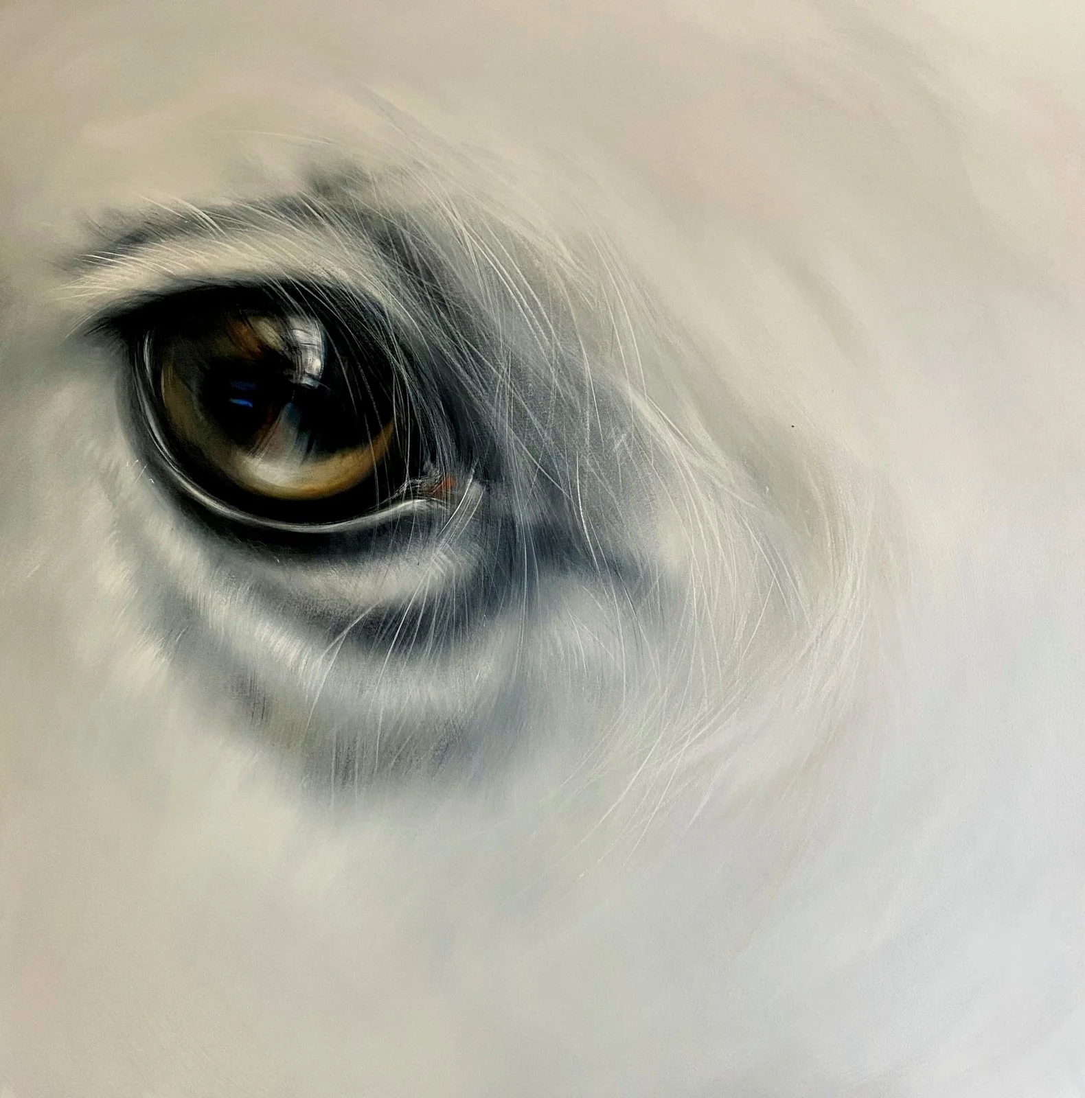 RÁN / oil on canvas / 120x120 cm.