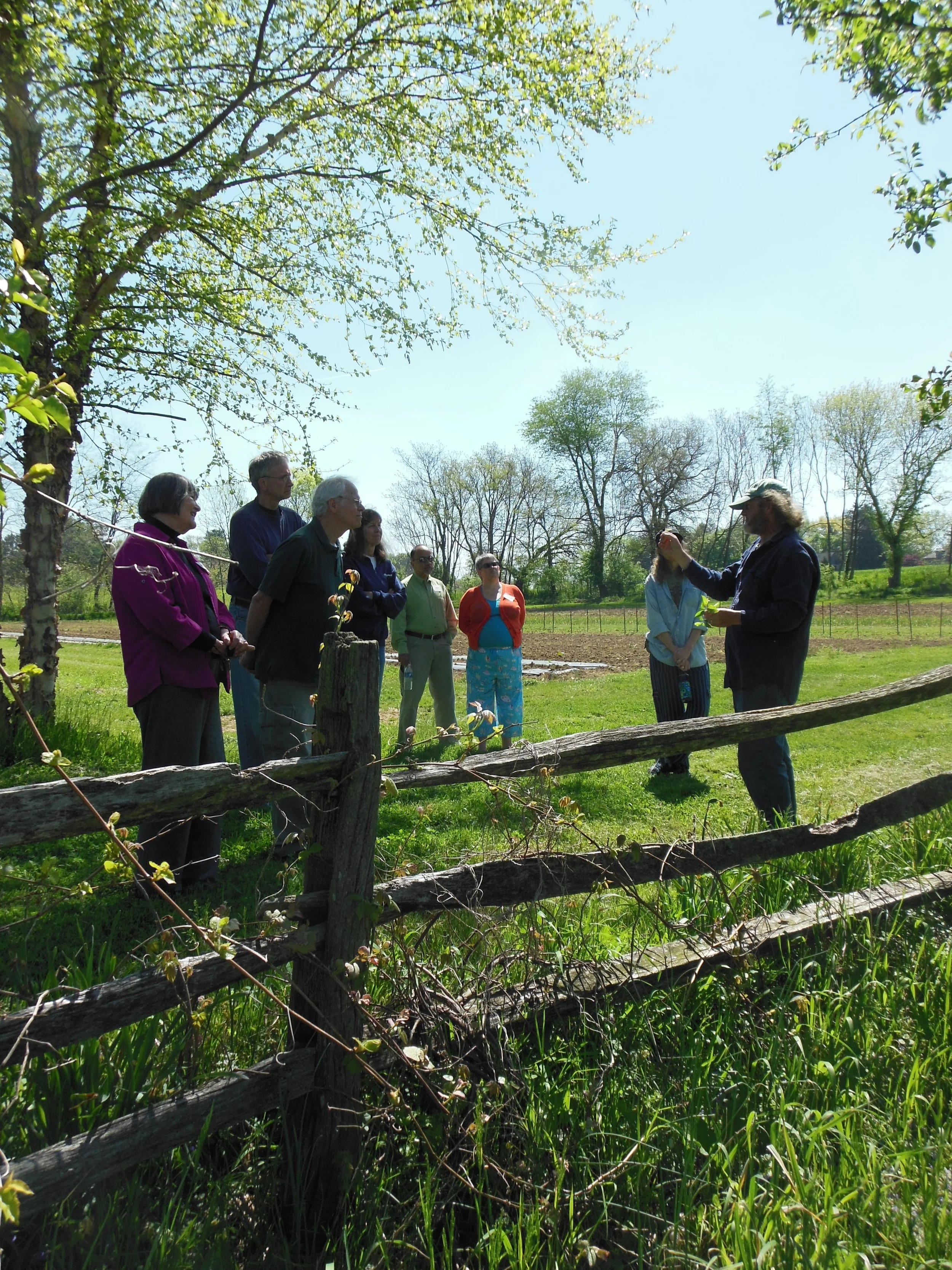 North Star Orchards