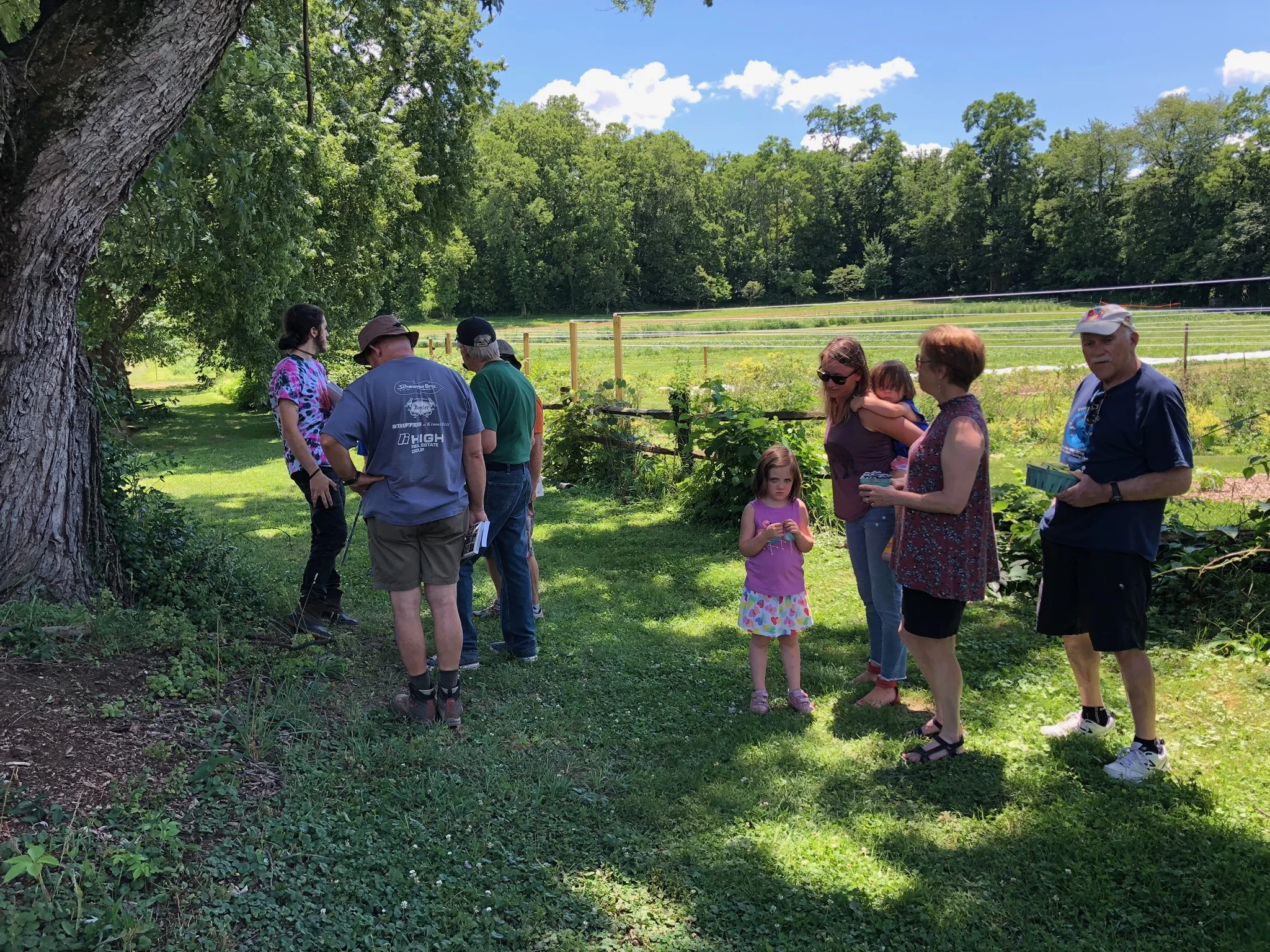Foraging for Wildflowers and Wild Edibles