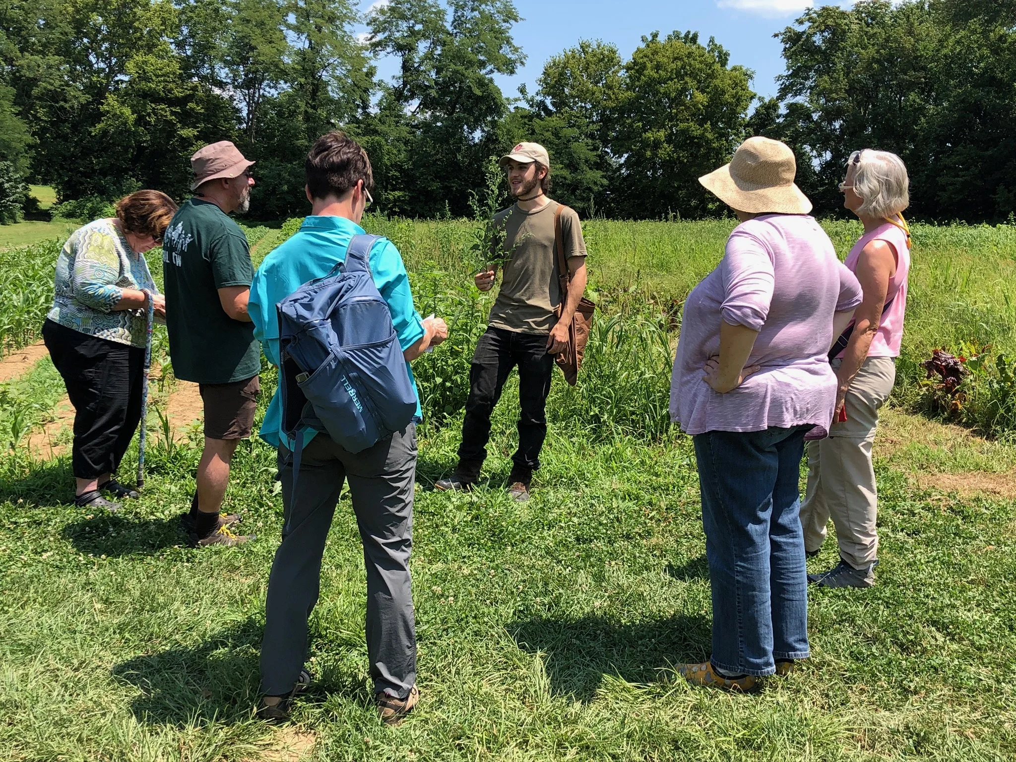 Foraging for Wild Edibles and Wildflowers