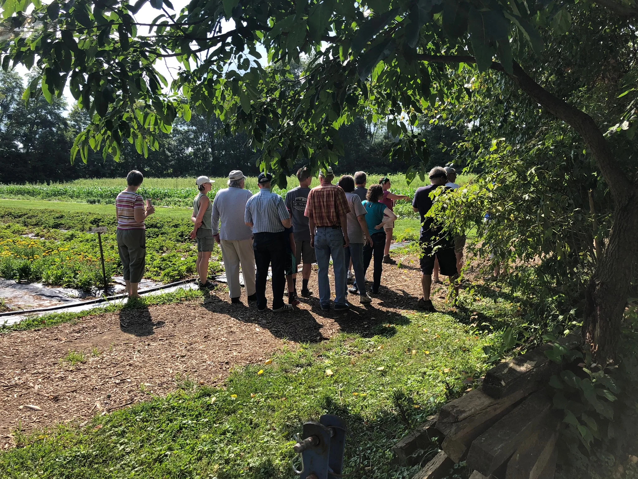 Farm Tour: Late Summer Crops