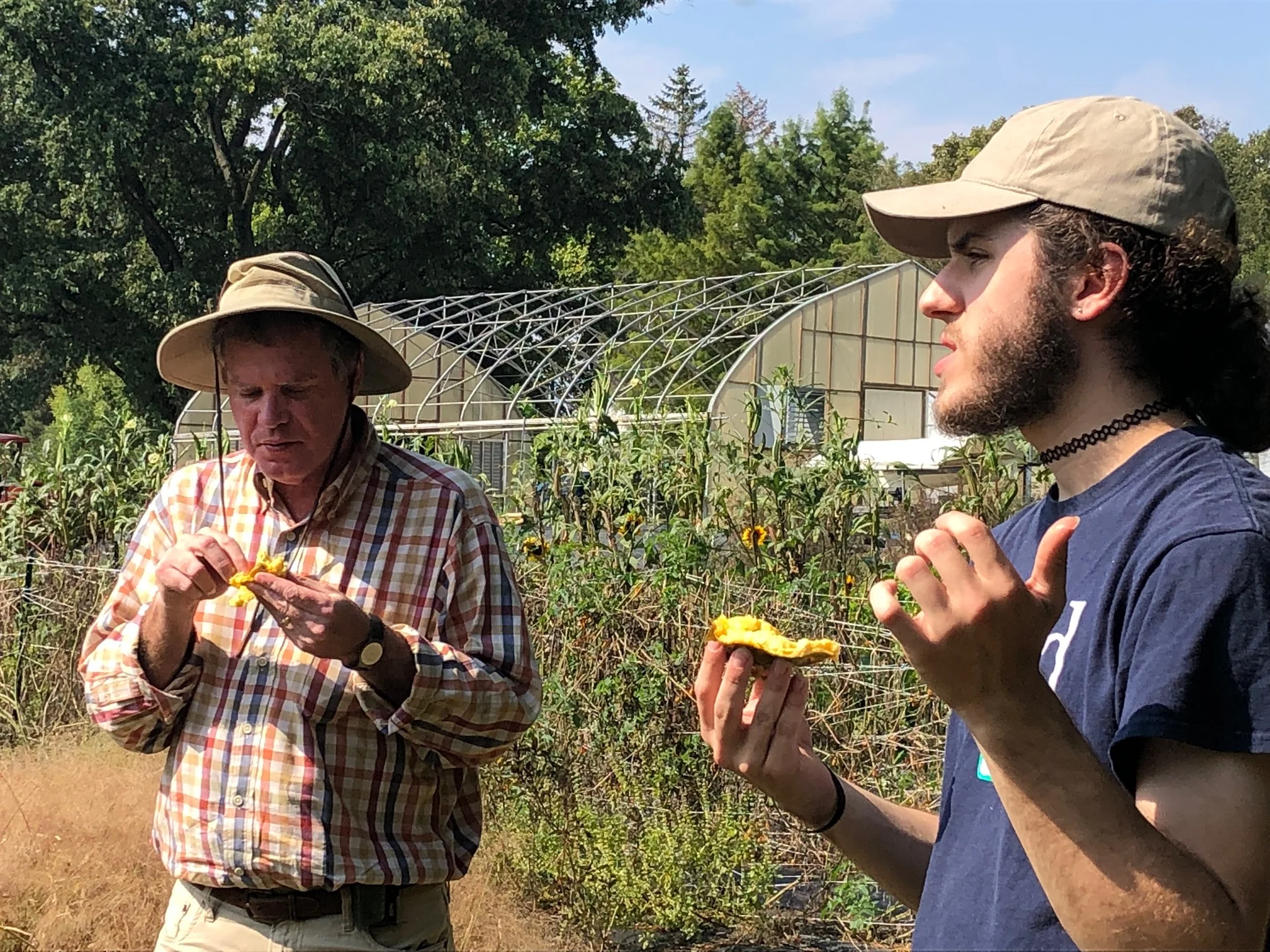 Foraging for Wild Edibles