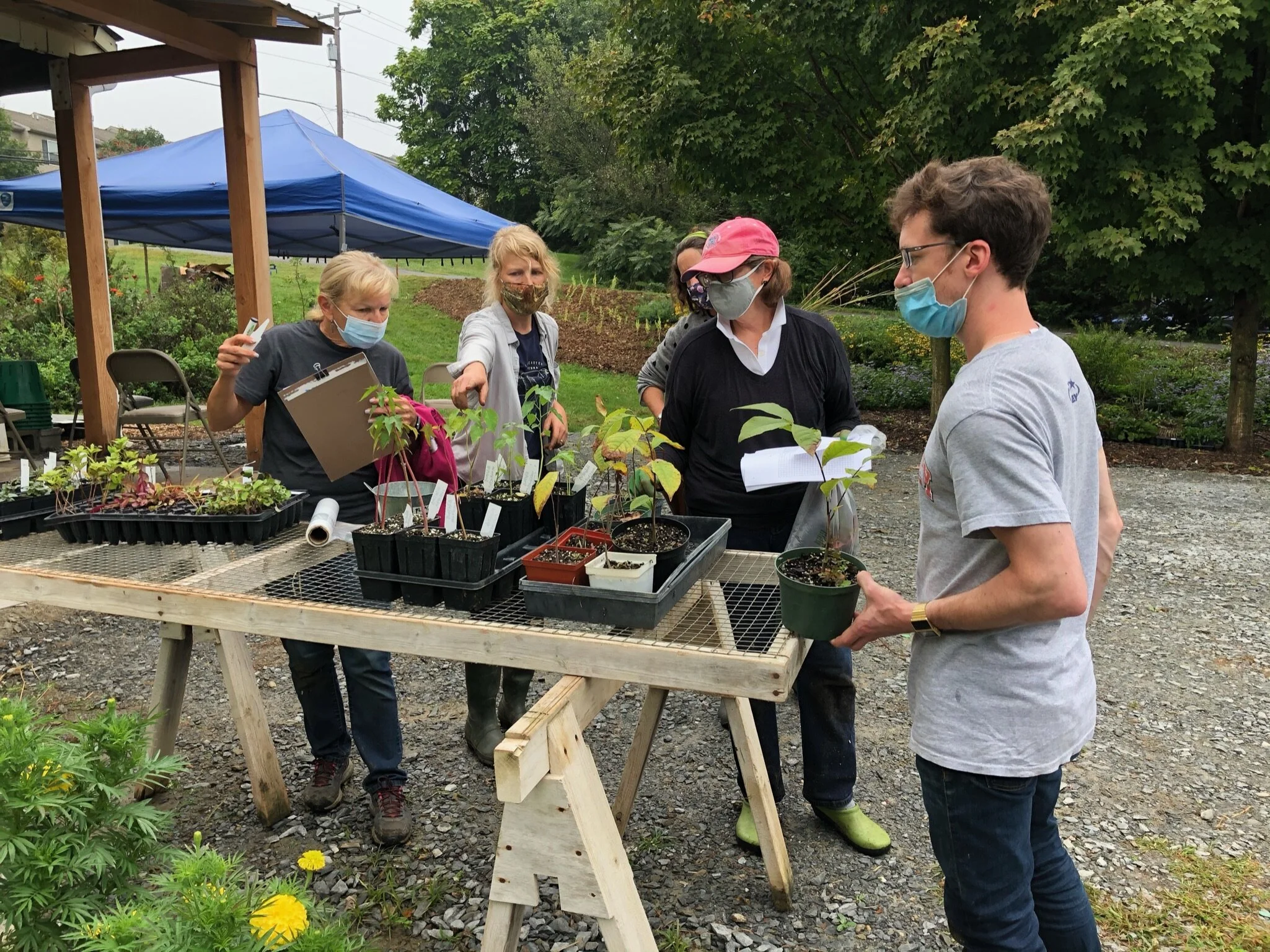 Native Garden Design & Build