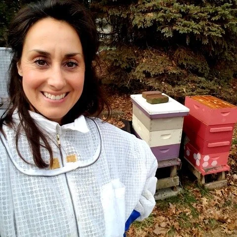 A  Day in the Life of a Honeybee