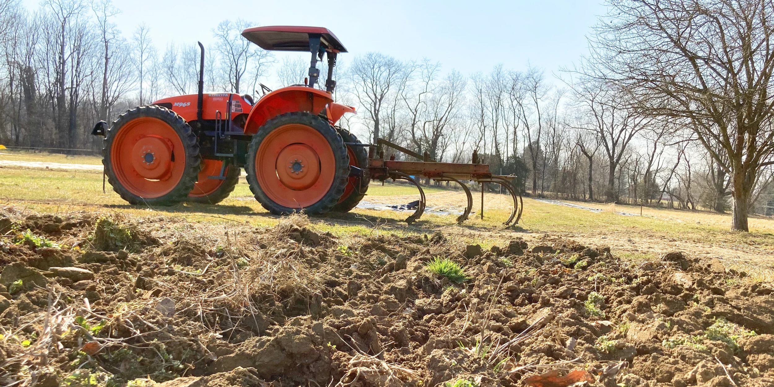 Planting Party!