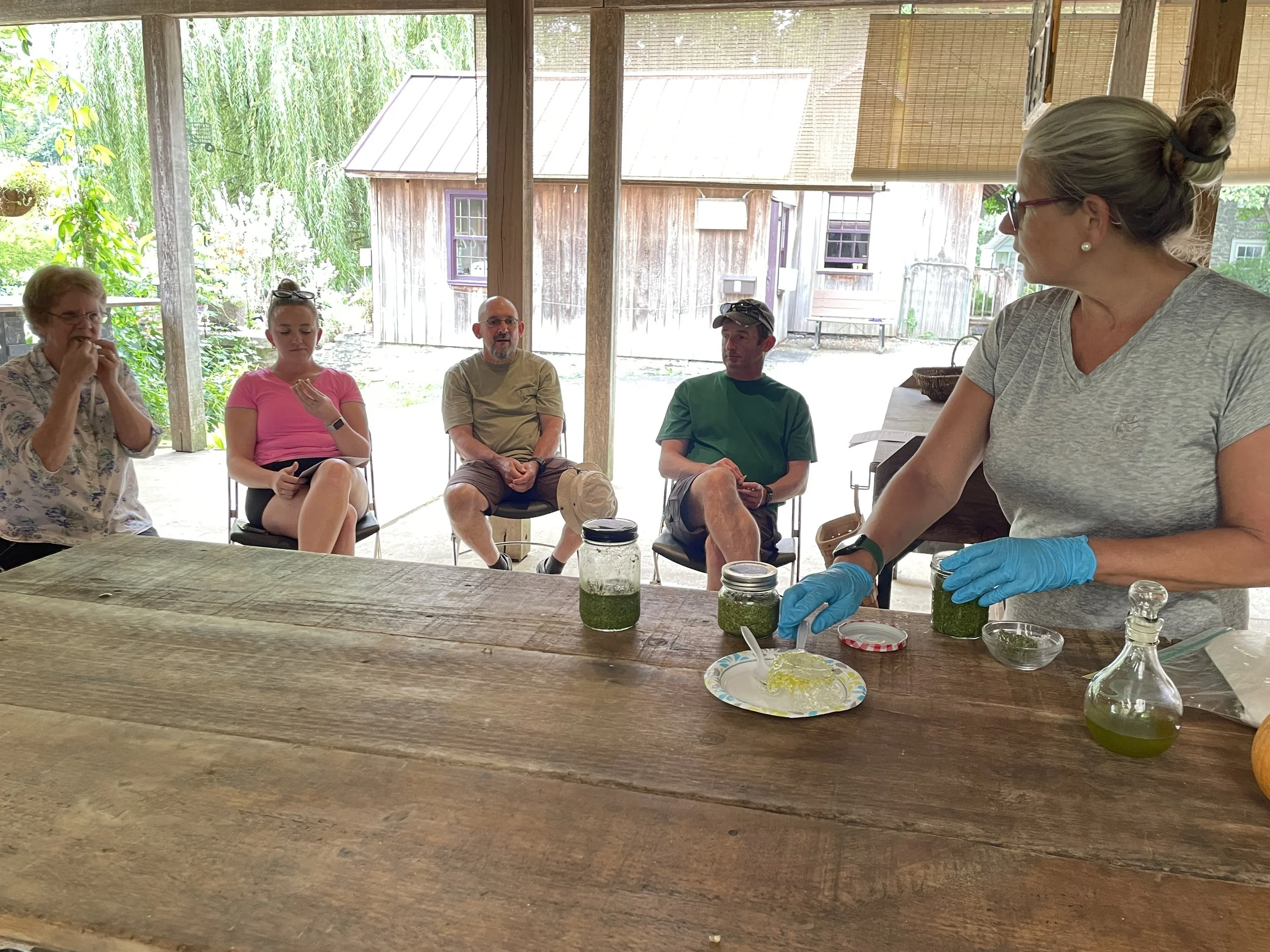 Fresh Basil: Savoring Summer