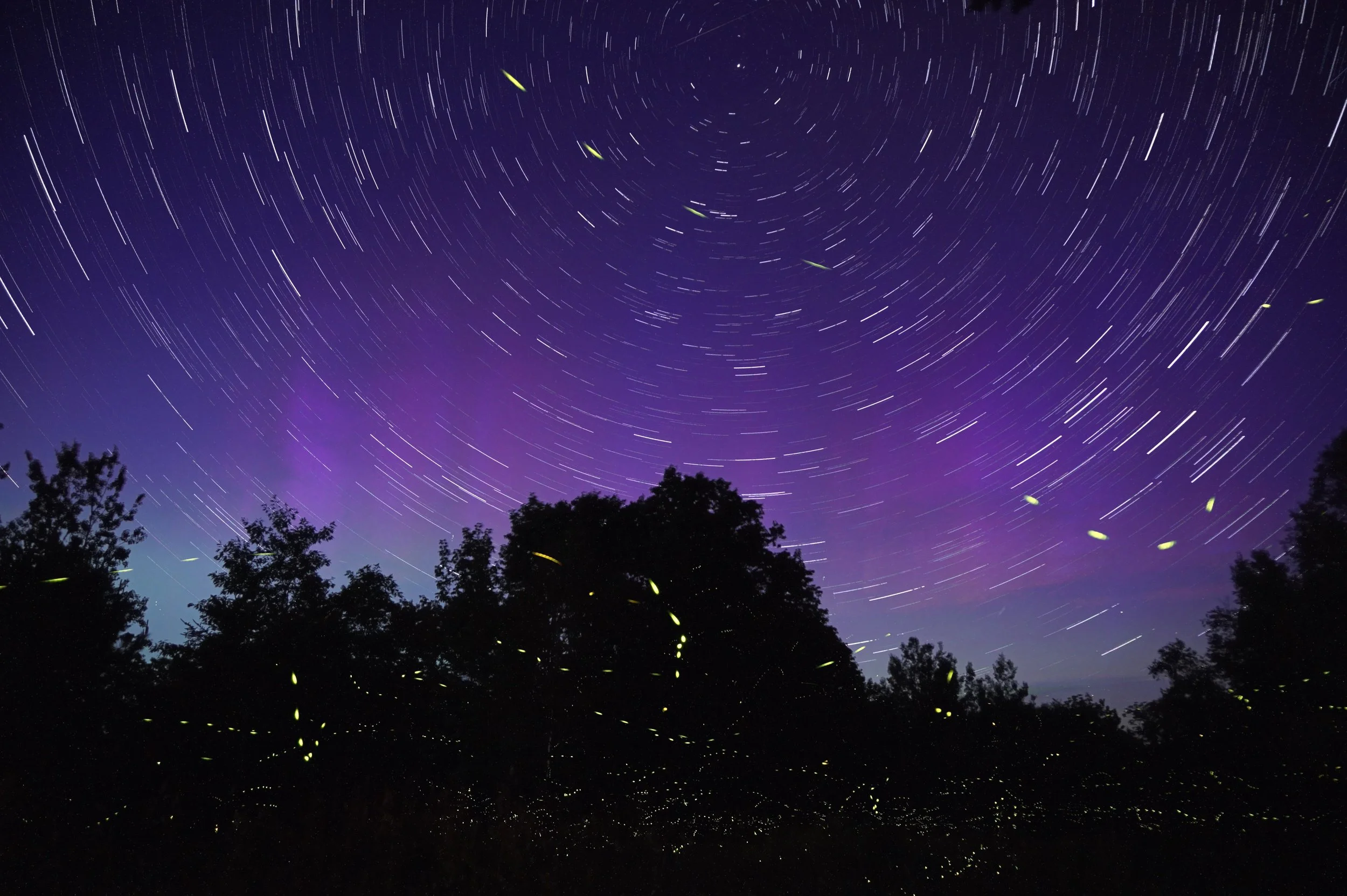 Drumming Circle and Welcoming Fireflies