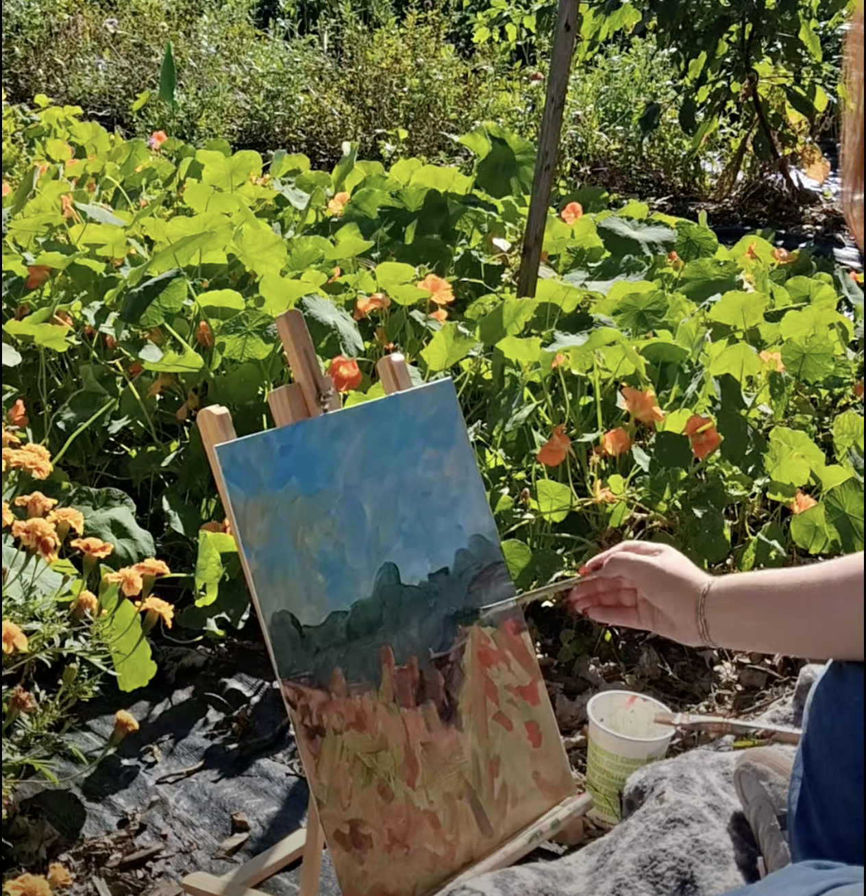 Plein Air Event