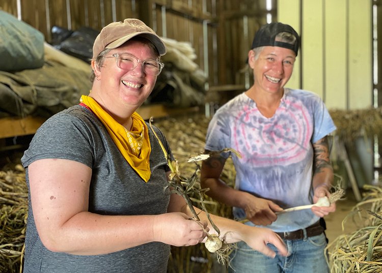 Farm Manager Kelly Morris (background) preps garlic in the barn with a CSA member and regular volunteer