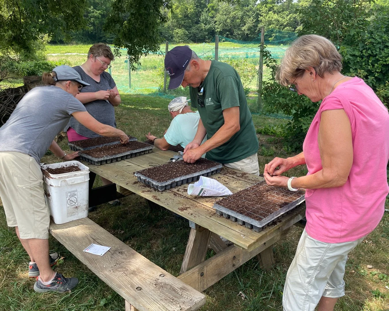 Four volunteers around a picnic table, preparing seedling trays for the greenhouses.