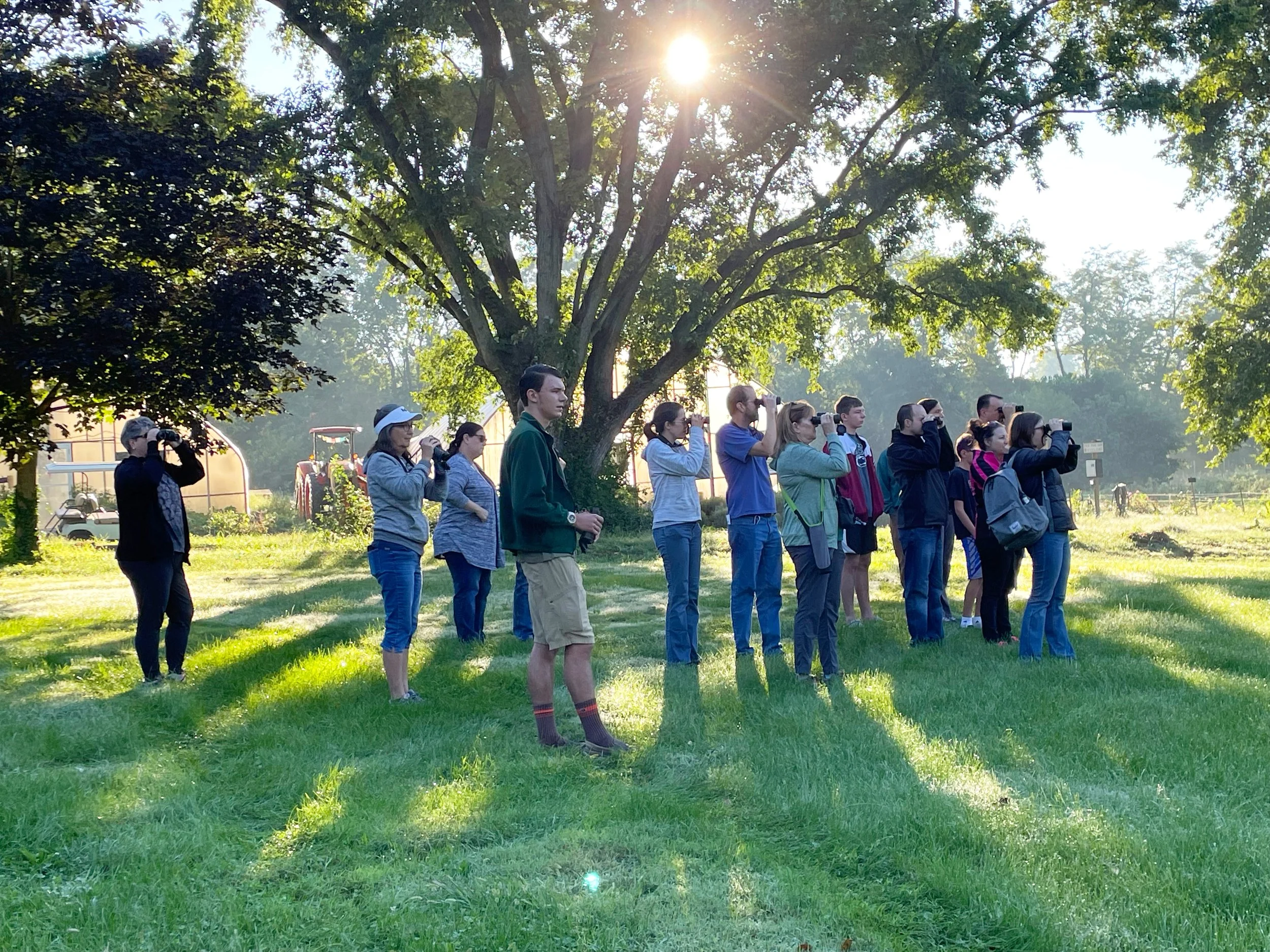More than a dozen people with binocularsunder a tree, scanning for wildlife.