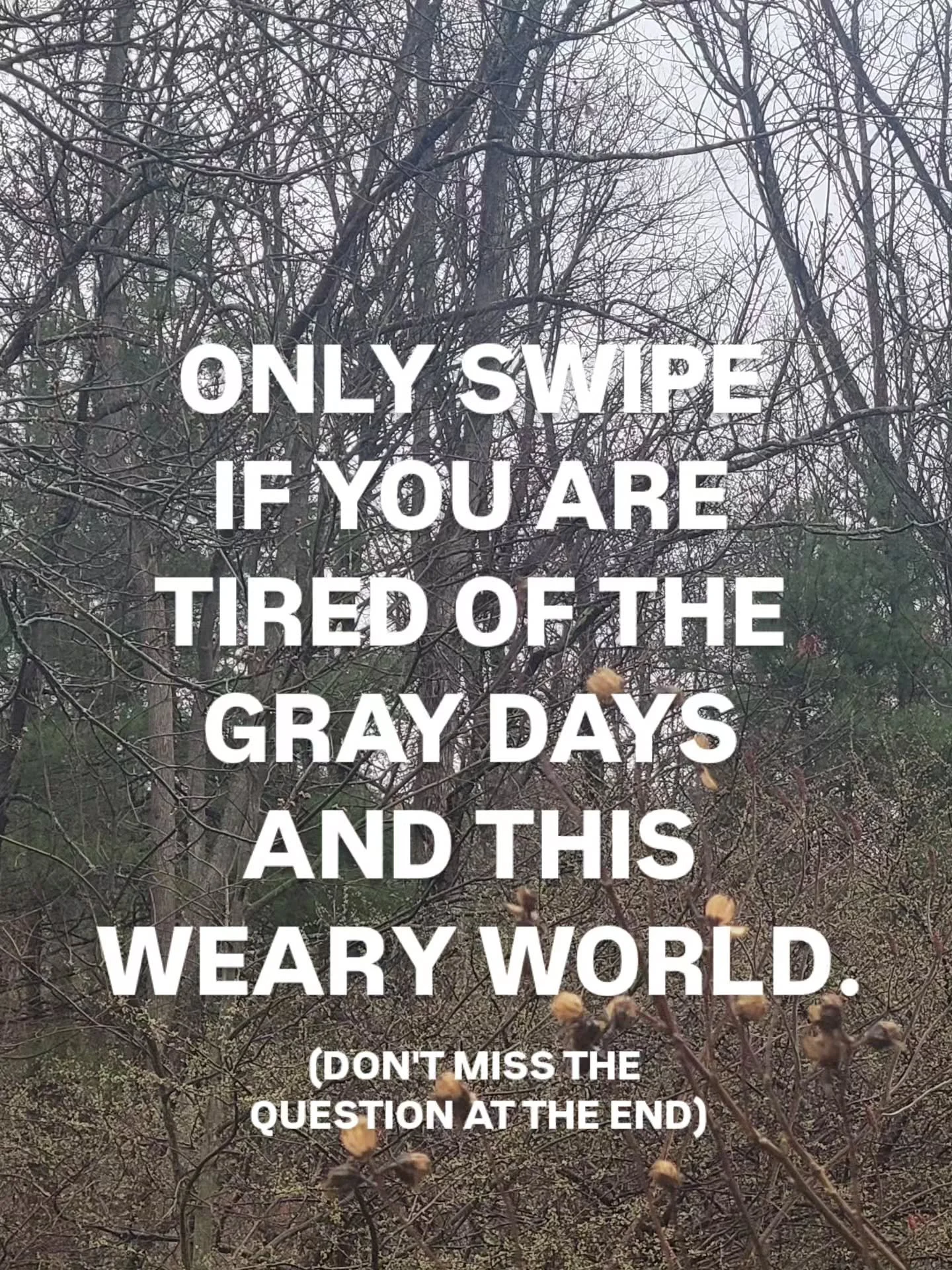 It's SO gray today. Downright UGLY. 
I also know I'm not alone in feeling the heaviness of world weighing us down.

One thing that ALWAYS makes an immediate difference in how I feel, and you may have guessed from my art, is color. 

And there is some