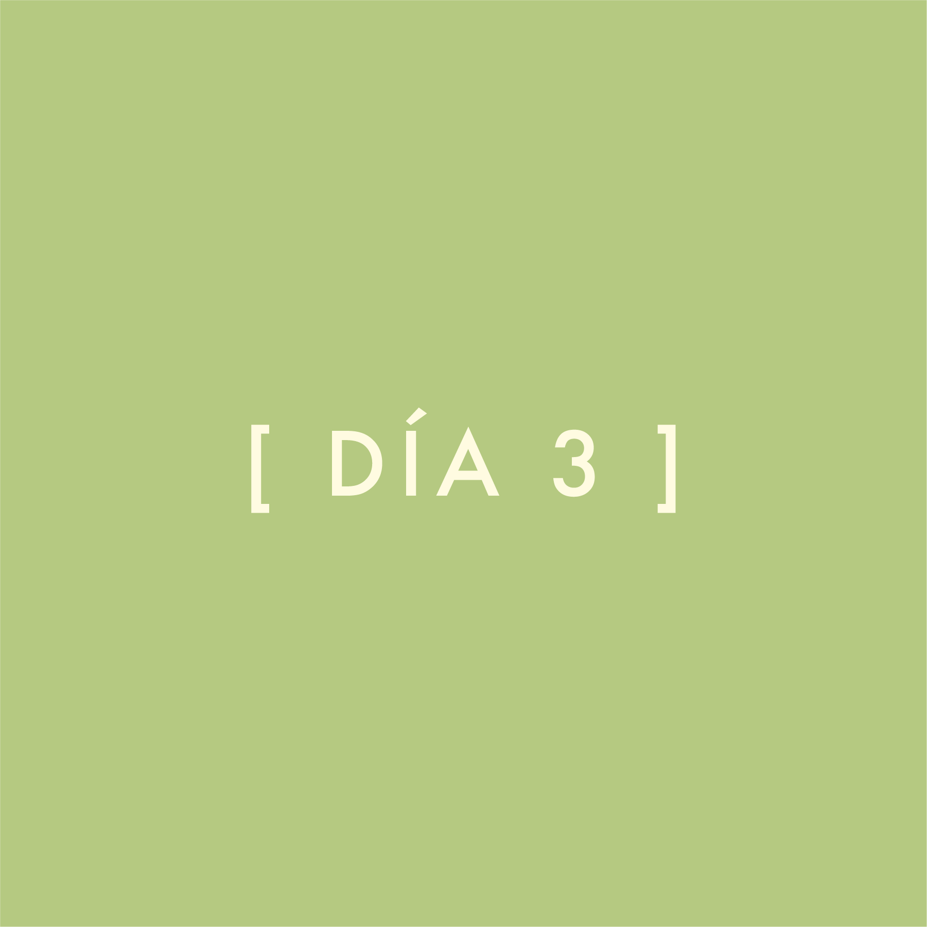 Día 3