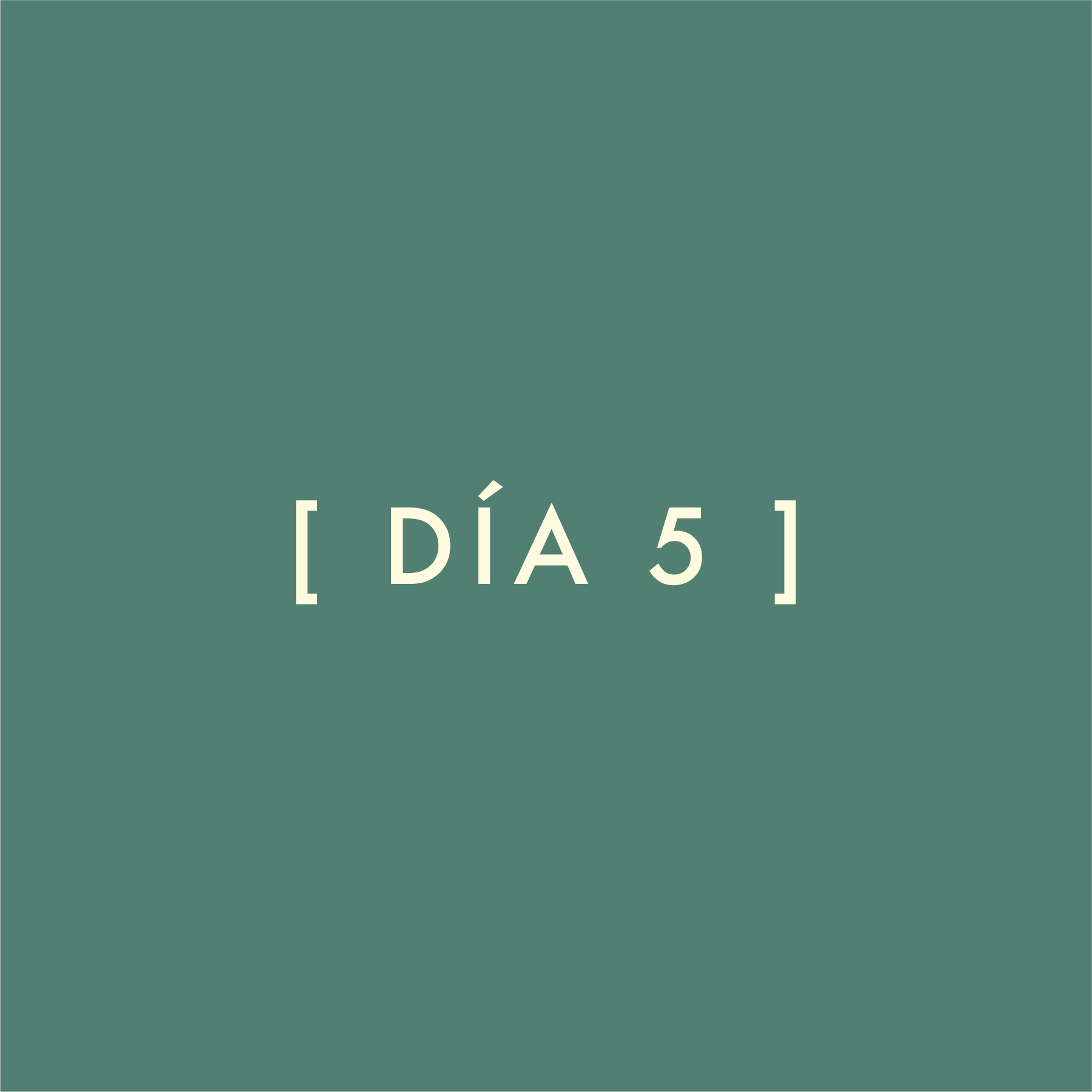 Día 5