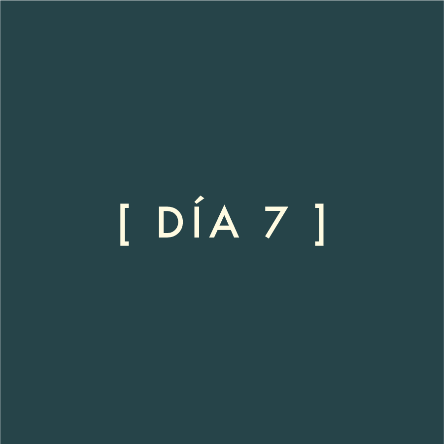 Día 7