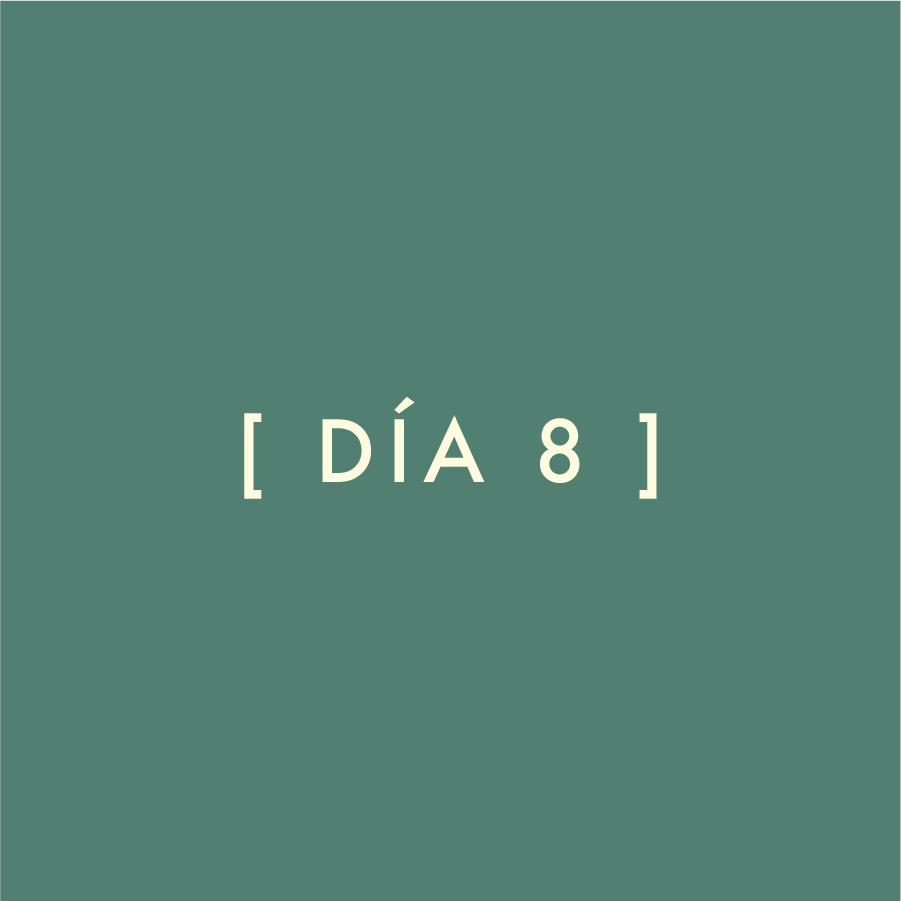 Día 8