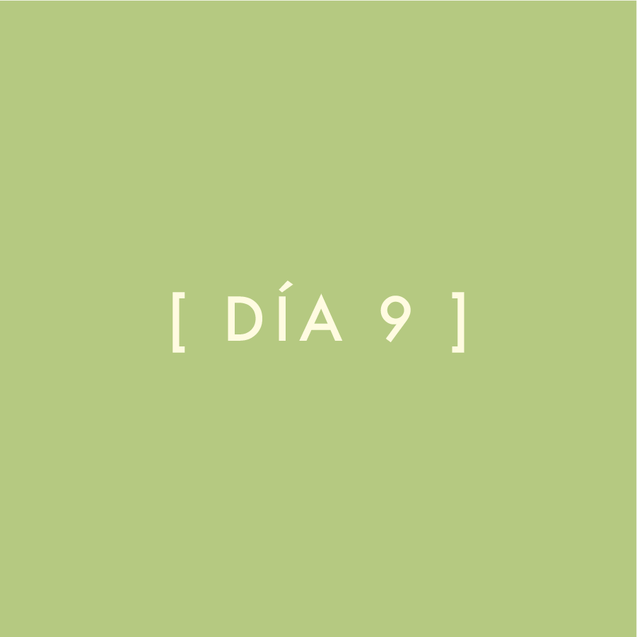 Día 9