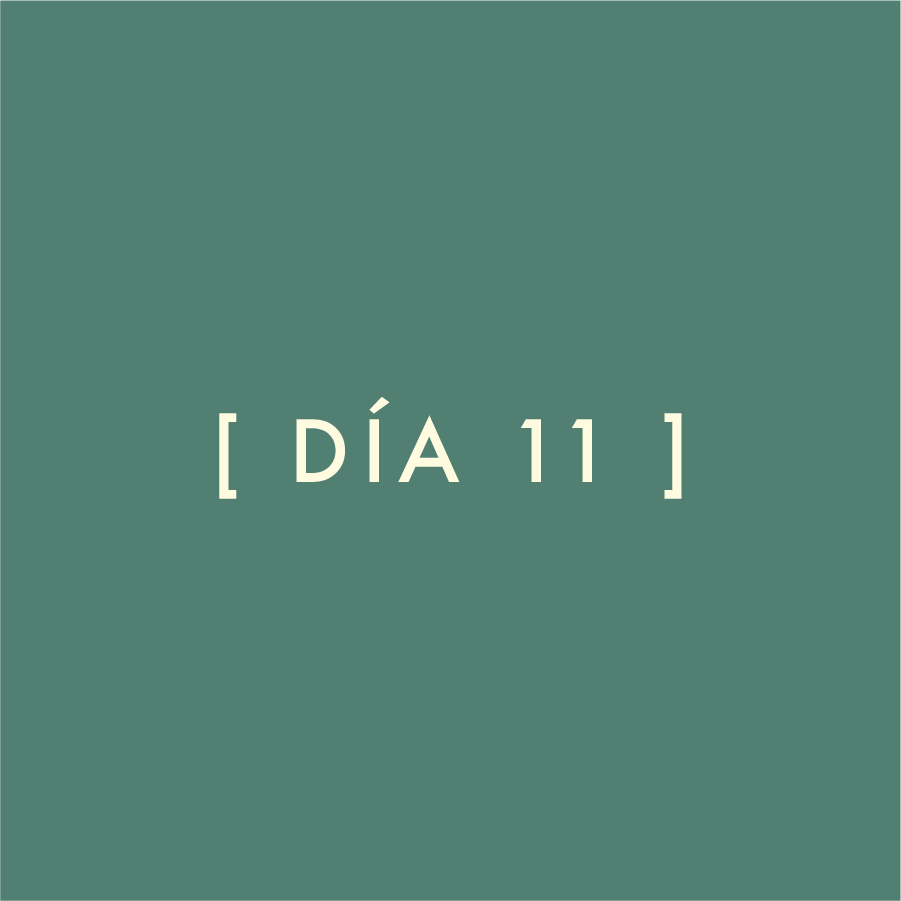 Día 11