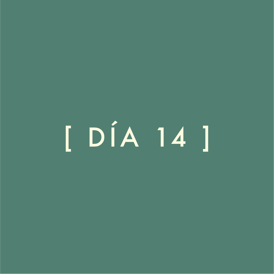 Día 14