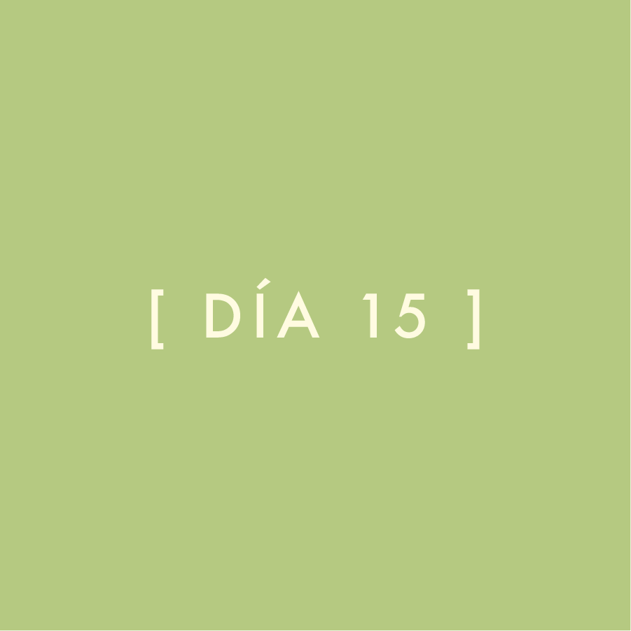 Día 15